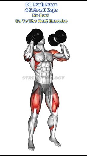 The Full-Body Dumbbell Complex for Serious Muscle