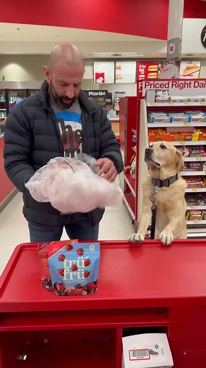 Everytime I try to do self checkout this happens.... 😂 #stitch #dog #target #checkout #trufru | Magnus The Therapy Dog
