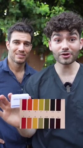 Does an armadillo’s diet cause cavities? #shorts