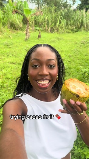 did you know chocolate came from this fruit? Cacao, cacao, fruit, how chocolate is made, travel, tropical fruits, Costa Rica #cacao #tropicalfruit