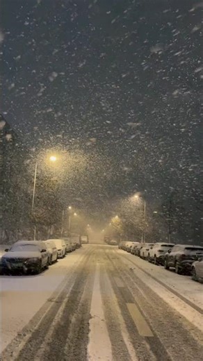 Peaceful Snowfall at Night ❄️ | Street Lights & City Ambience to Relax and Sleep