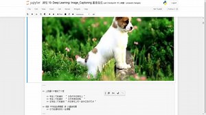 A.I 人工智慧- 循環神經網絡 課程 10- Deep Learning- Image_Captioning 圖像描述