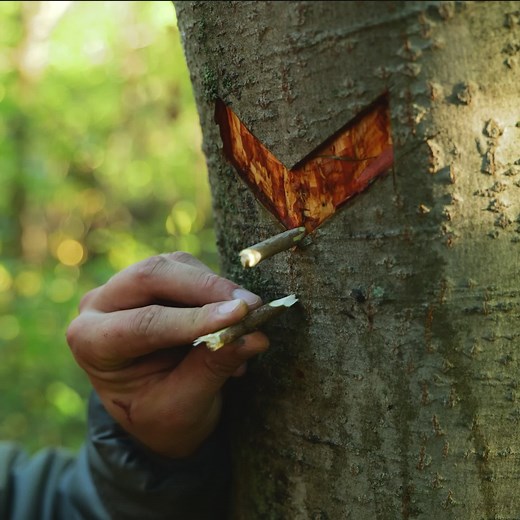 6.9K views · 22 reactions | Camping Hacks for a Hassle-Free Adventure | 3-Minute Hacks | Facebook