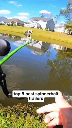 I stopped guessing the best lure colors for fall the day I read this guide by a pro angler. Fall bass fishing isn’t luck — it’s understanding water clarity, light conditions, and how bass react in cooler water. Want to catch more bass this fall? 👉 The full fishing lure guide is in the link in bio. #bassfishing #fallfishing #fishinglures #basslures #anglerlife fishingtips fishingreels kayakfishing catchmorebass fishingguide fishingknowledge