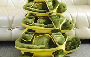 窗 口 缝 合 怪 [1]