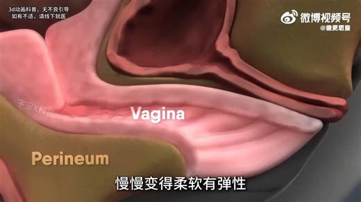 胎儿一足月就会出生，原来是宝宝发出的指令