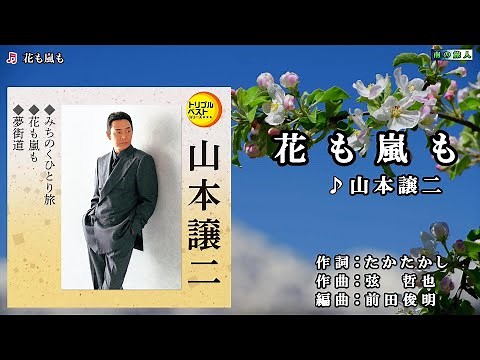 山本譲二【花も嵐も】カラオケ