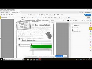 Utilisation d'Adobe Acrobat Reader