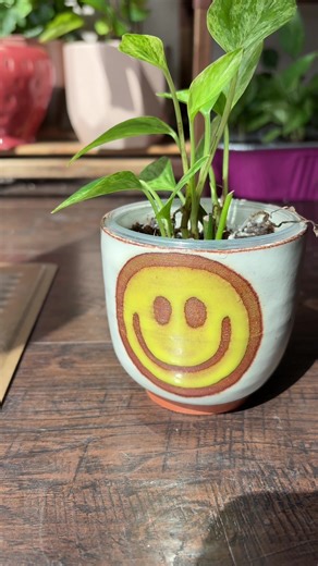 I made these 🥹 #pottery #ceramics #plants