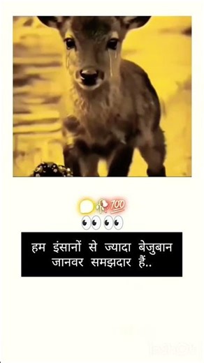 Very Sad Animal Video 😢 | Heart Touching Animal Moment