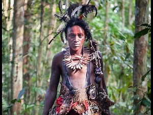 INITIATION - Film - Bwiti / Iboga (eng/es/port)