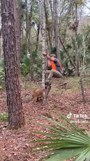Hilarious Hide and Seek Game with a Boar in the Forest