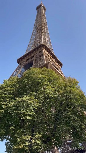 21K views · 192 reactions | Sheikh Shamal on Reels | Facebook