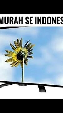 Tv sharp 24 inch LC 24LE175i