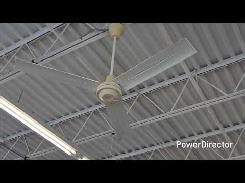 Ceiling fans at a thrift store