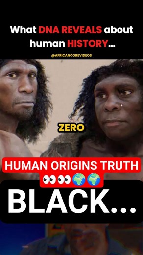 Where Neanderthals Really Came From 🤔