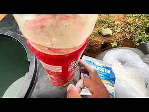 Trial & Error Batch-l Series-1 || Mushroom farming bol dan || Formalin + Danustin + CACO3 ratio ||