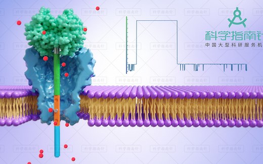 南京大学黄老师Nature Communications可编程纳米孔单分子反应器PNRSS技术展示动画