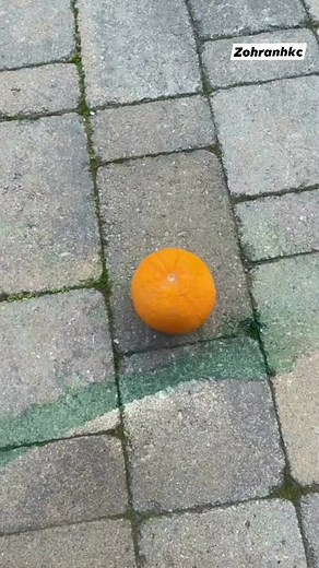 Edit Or Real? | Art | @Connection_intercepted | Follow My Art Page 👇https://m.facebook.com/THEARTISTHUBB/ | #zohranhkc #artist #editing #facebookwatch #myartchallenge #art #artwork #viral #edit #amazingedit | Zohran Hkc