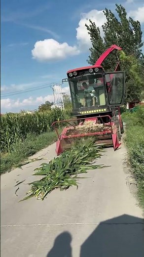 #Ground Cutter Silage Machine - Goodtools and machinery make work easy