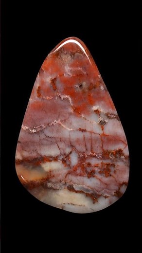 Petrified Wood: Before & After