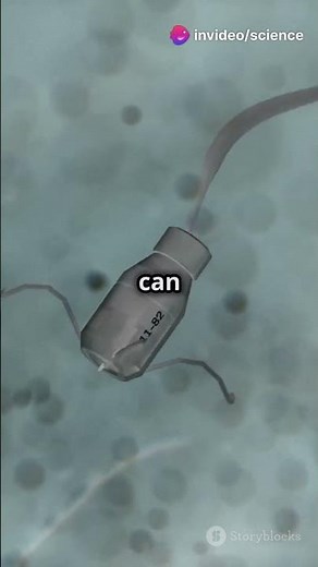 Nanotechnology in Medicine: Tiny Tools, Big Impact