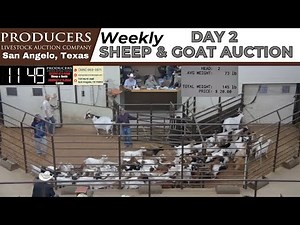 5/28/2025 - Sheep & Goat Auction - Producers Livestock Auction Company