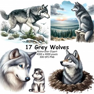 17 Watercolor Grey Wolf Clipart Bundle. Transparent Background, Wolf Design PNG, Wolf Graphics, Wild Life Clipart, Commercial Use - Etsy UK