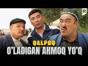 Qalpoq - O'ladigan ahmoq yo'q (hajviy ko'rsatuv)