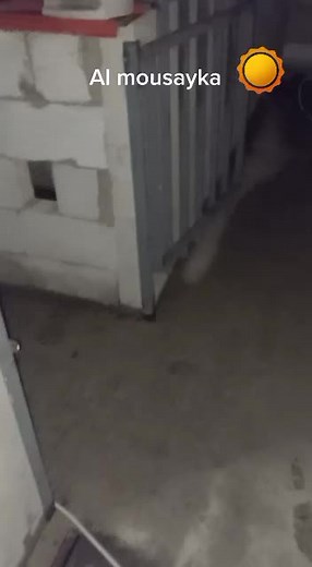 Repairing a Generator in an Industrial Setting