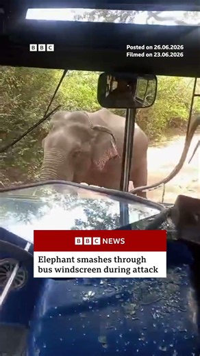 Elephant smashes bus windscreen during attack. #BBCNews