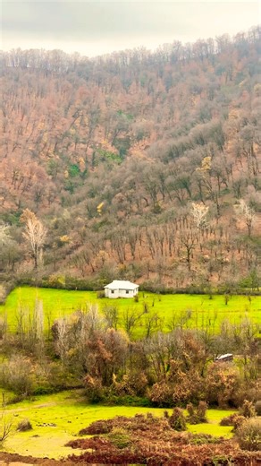 Gözəlliyə bir baxın.İnsanı alıb götürən mənzərə.#shorts #nature #azerbaijan #qəbələ
