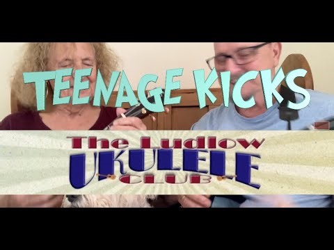 TEENAGE KICKS Ukulele Play along