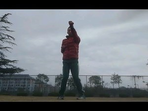 咏春高级套路-标指