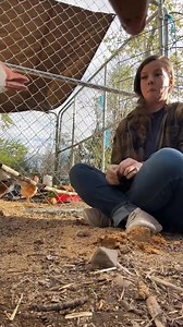 1.3K views | Spring is in the air at the funny farm IYKYK #farmlife #iykyk | That’s Just Jess | Facebook