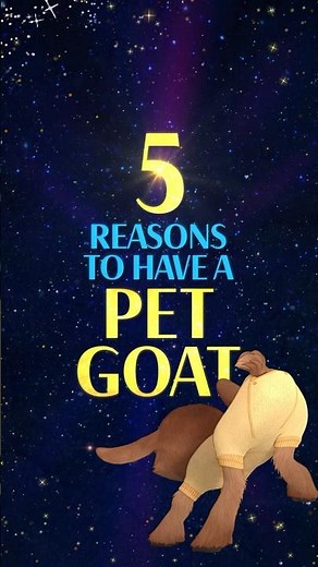 5 Reasons To Have A Pet Goat ✨ | Wish | Disney Kids