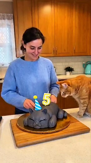 42K views · 357 reactions | Woman plays a prank on her cat and is surprised by its reaction. #funny #humor #funnyreelsvideo #funnyvideos #funnyreels #humorviral #funnyanimal #reelsviral #prank #cat #fyp | Riso Express | Facebook