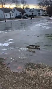44K views · 460 reactions | WOW! A water main break causes a whole street to freeze up in Detroit. The video was captured in the block of Harlow St, which is near 7 Mile & Southfield. | Metro Detroit News | Facebook