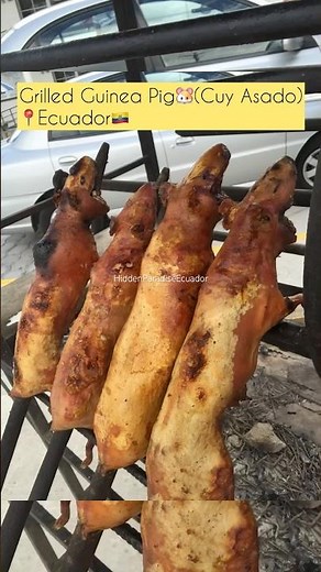 DISCOVERING ECUADOR’s Most Surprising traditional Food: Grilled Guinea Pig 🇪🇨🐹#ytshorts #food