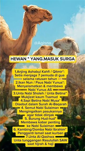 Hewan yang masuk Surga #seputardakwah #kisahnabi #kisahislami