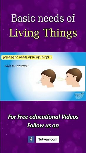 Basic Needs of Living Things | Air, Water, Food and Shelter | Science #shorts