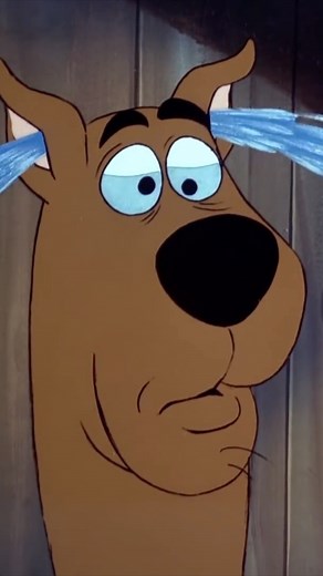 Justice for the goldfish! | Scooby-Doo