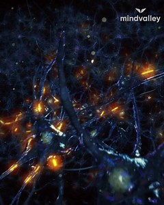 352K views · 605 reactions | What if you could source incredible...