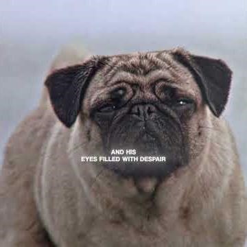 #edit #movie #funny #film