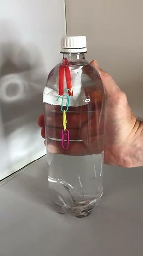 Cartesian Diver