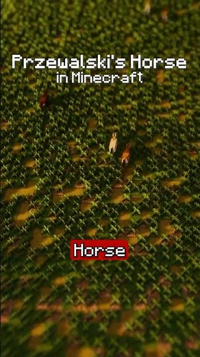 Przewalski's Horse in Minecraft! 🐎 #minecraft