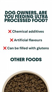 6K views | With grass-fed beef, higher-welfare turkey, seasonal veggies and more, Bella+Duke is the very best food for your dog. | Bella+Duke | Facebook