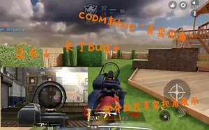 CODM新bug“真实视角”，枪械真实视角展示（部分）