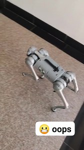 If you see this, what will you do to your robot? | Reviews