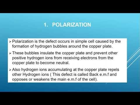 Simple cell | Defects Of The Simple Cell : Polarization & Local Action